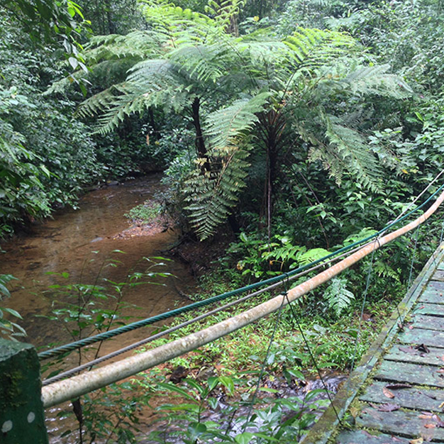 EL CIRCUITO DE SENDEROS RÍO LA VILLA, RESERVA FORESTAL EL MONTOSO, HERRERA – CONSTRUCCIÓN DE NUEVOS SENDEROS Y CAPACITACIÓN LOCAL (2016 – 2017)